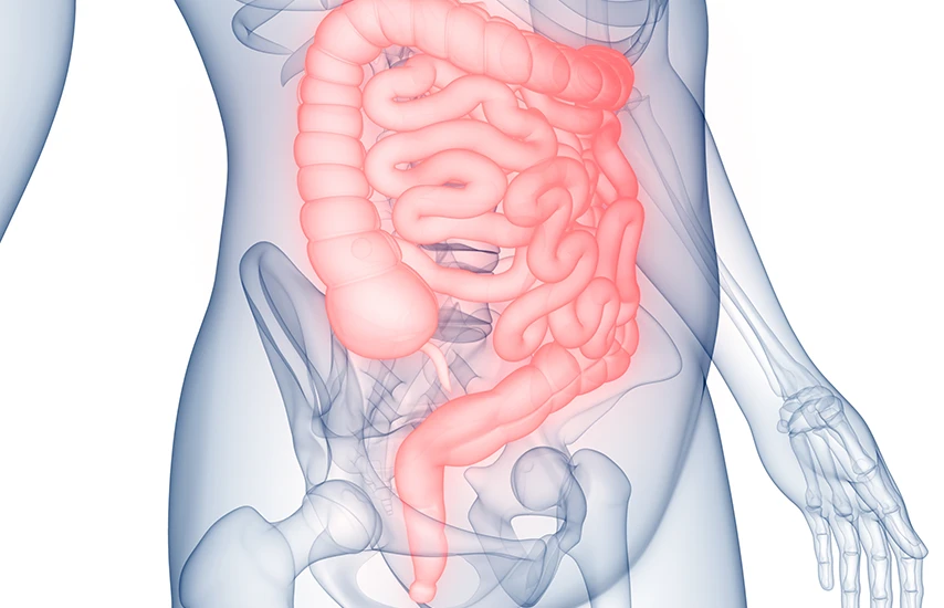 “Before I explain this alternative, first, it’s important to understand how Ozempic promotes weight loss.”